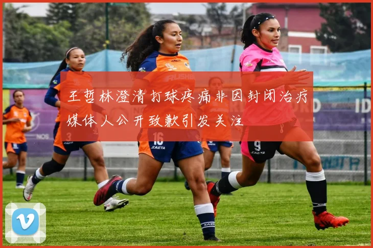 王哲林澄清打球疼痛非因封闭治疗媒体人公开致歉引发关注
