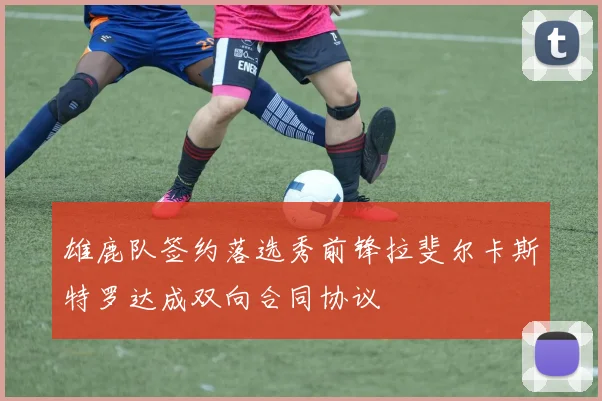 雄鹿队签约落选秀前锋拉斐尔卡斯特罗达成双向合同协议