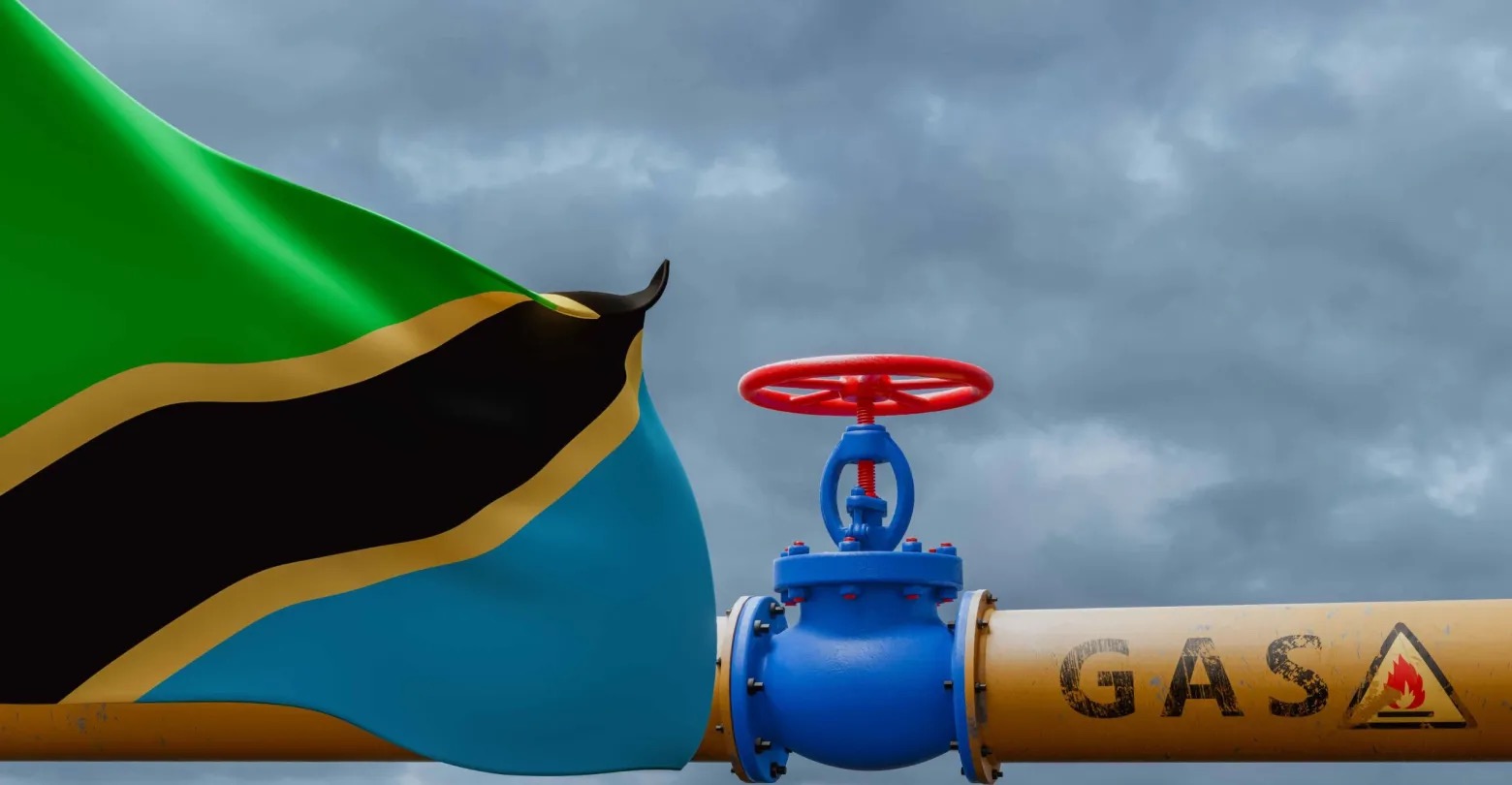 IAE 2024 Spotlight on Tanzania's LNG Projects, Gas Prospects Energy